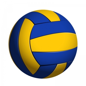 Volley Ball